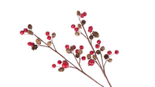 Pine Branch With Berries